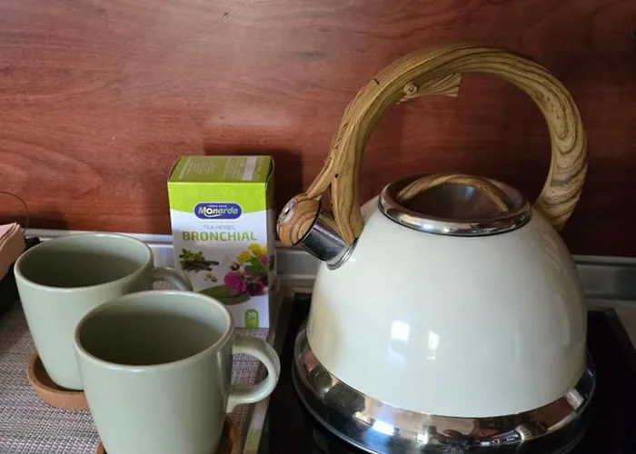 Apartament Boutique - Flora Boutique *