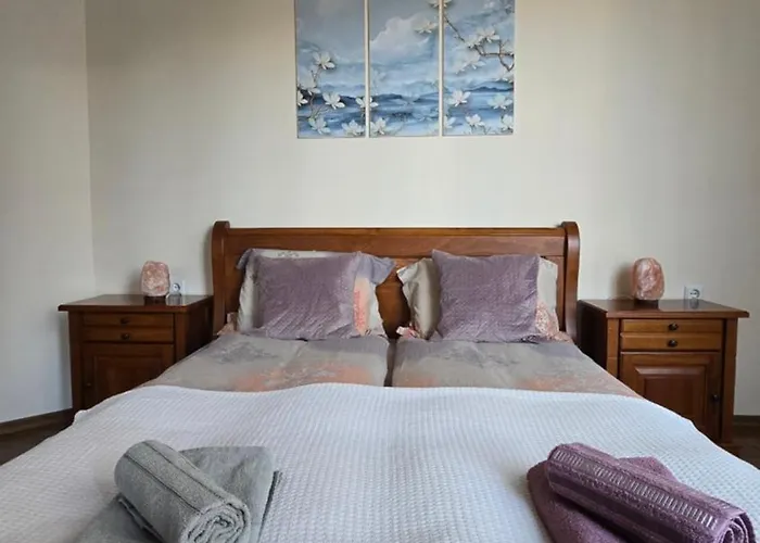 Boutique - Flora Boutique Apartament *